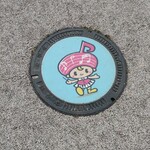 オレンジペコ - 