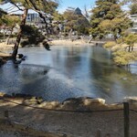 オレンジペコ - 