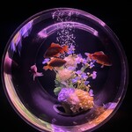 アートアクアリウム美術館GINZAミュージアムショップ - 