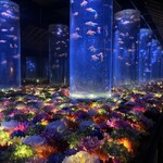 アートアクアリウム美術館GINZAミュージアムショップ - 