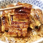 うなぎの新甫 - 上うなぎ丼
