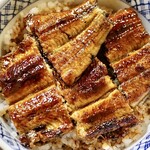 うなぎの新甫 - 上うなぎ丼