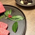 USHIGORO S. SHINJUKU - 