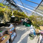 フルーツカフェ ニジ - ビニールハウス内のカフェスペース