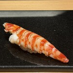 鮨と天草大王 天音 - 車海老　蒸したて剥きたてを握りに