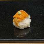 鮨と天草大王 天音 - 雲丹