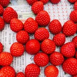 おさぜん農園 - 