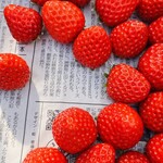 おさぜん農園 - 