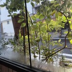 喫茶 マドラグ - 