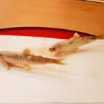 天ぷら 京星 - あゆ