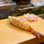 寿し辰 - 海老
      でっかい海老！そろそろお腹もいっぱいだけど食べたいねってお願いしました(^^)  肉厚でブリブリなことったら！('ﾛ')/'ﾛ')/'ﾛ')/'ﾛ')/うまーイ!!!