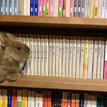 カフェ ノースライト - 