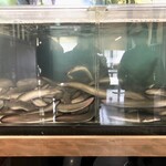 千里うなぎ 御所南店 - 