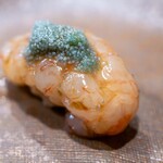 うを徳 - 2026.1 羽幌産ボタン海老