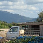 ミルミル本舗 - 