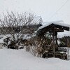 三津屋妹尾 - 