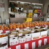 大谷農園 直売所