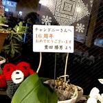 340422678 - チャンドニー　もっと昔からあります　byまみこまみこ