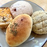 TOOTH TOOTH FISH IN THE FOREST - 