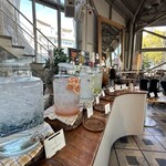 TOOTH TOOTH FISH IN THE FOREST - 