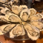 Oyster Lab - 