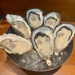 Oyster Lab - 