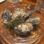 Oyster Lab - 