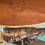 焼売 牡蠣 カイホウシグレ - 