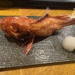 炉ノ鳥 - 