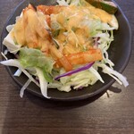 サベラ ティッカ ビリヤニ - 不思議なサラダ。味は良いです