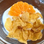 パスタ カフェ ダイニングバー ボルティーチェ - 
