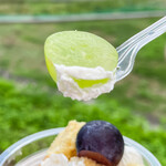 toroffon - 