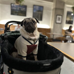 イキ エスプレッソ - 