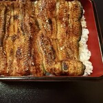 小島屋 - 一尾ではないが、やや小振りのお重にぴったりの大きさ