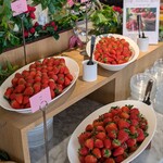 ザ・ガーデン - 苺の食べ比べ(章姫、みおしずく、すず)