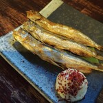 囲坊主 - 本ししゃも