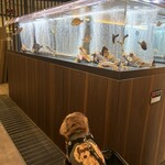 海食 Uosada - 