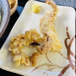 てら屋うどん _1