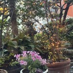 鉄板焼き 大和 - 