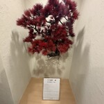 鮨 赫 sushi aka Tokyo - 