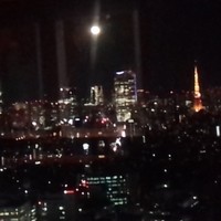タワーズバー ベロビスト - 