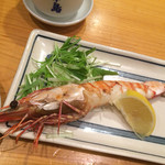 力丸 法善寺横丁 炉ばた焼 水かけ茶屋 - 大海老塩焼きは600円❤︎