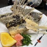 お食事処 潮騒 - 