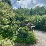 そばCafe うんどうや - 