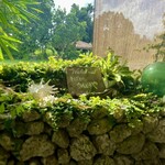 そばCafe うんどうや - 