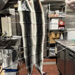 昼だけうなぎ屋 - 