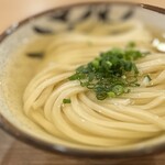 考えるな、うどん食え。 - 冷かけ