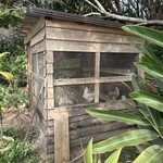 fuu cafe - ニワトリ小屋まで！