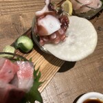 まぐろ問屋二代目マル城 - 