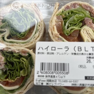 ビッグパワー_1